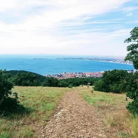 Panoramic Butterfly * Sveti Vlas