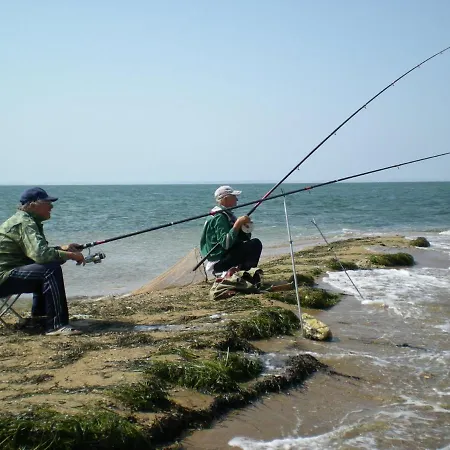 Apartment Panoramic Butterfly *