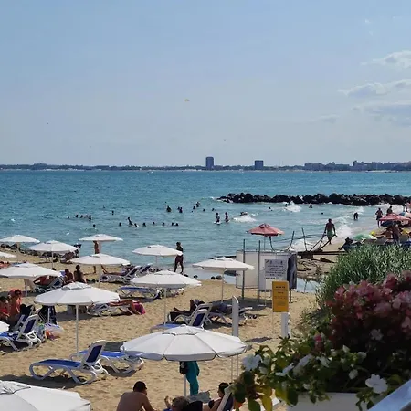 Apartment Panoramic Butterfly *
