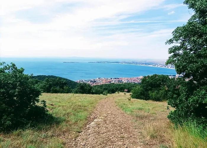 Panoramic Butterfly * 스베티 블라스