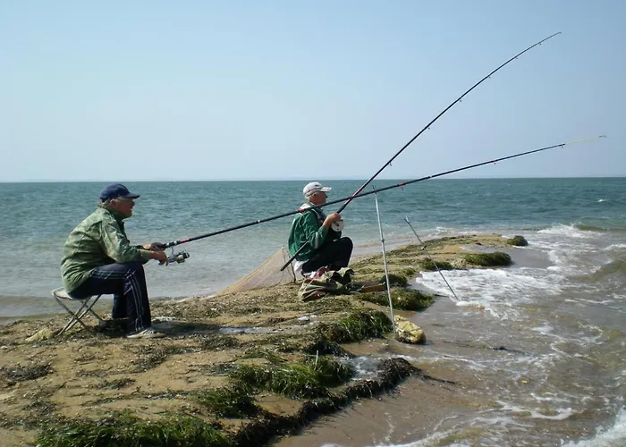 Apartment Panoramic Butterfly *