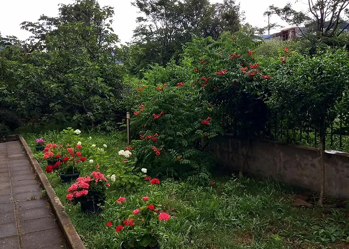 Panoramic Butterfly *